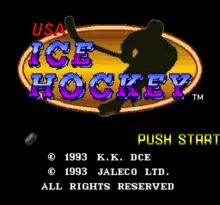 Image n° 1 - screenshots  : USA Ice Hockey